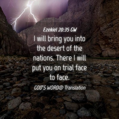 Picture 04 - Ezekiel 20:35 GW - I will bring you into the desert of the nations. - Bible Verse Picture