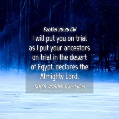 Picture 04 - Ezekiel 20:36 GW - I will put you on trial as I put your ancestors - Bible Verse Picture