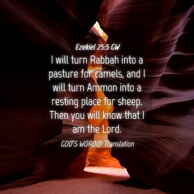 Picture 04 - Ezekiel 25:5 GW - I will turn Rabbah into a pasture for camels, and - Bible Verse Picture