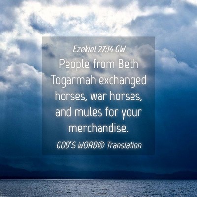 Picture 04 - Ezekiel 27:14 GW - People from Beth Togarmah exchanged horses, war - Bible Verse Picture
