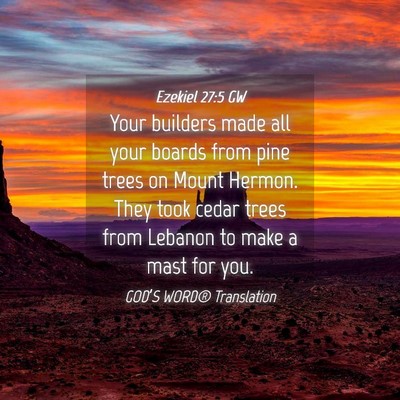 Picture 04 - Ezekiel 27:5 GW - Your builders made all your boards from pine - Bible Verse Picture