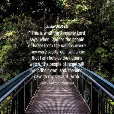 Picture 04 - Ezekiel 28:25 GW - “‘This is what the Almighty Lord says: When I - Bible Verse Picture
