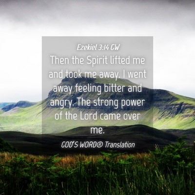 Picture 04 - Ezekiel 3:14 GW - Then the Spirit lifted me and took me away. I - Bible Verse Picture