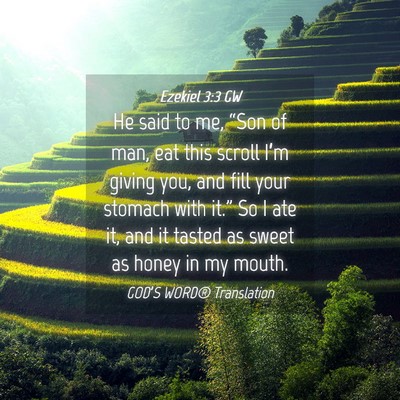 Picture 04 - Ezekiel 3:3 GW - He said to me, “Son of man, eat this scroll - Bible Verse Picture