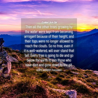 Picture 04 - Ezekiel 31:14 GW - Then all the other trees growing by the water - Bible Verse Picture