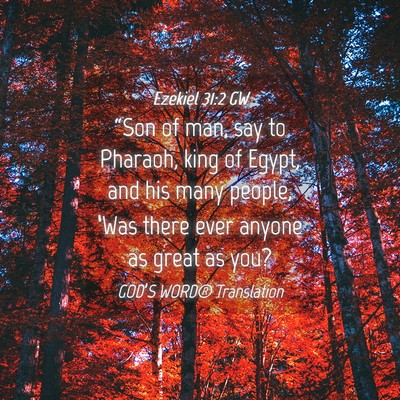Picture 04 - Ezekiel 31:2 GW - “Son of man, say to Pharaoh, king of Egypt, and - Bible Verse Picture
