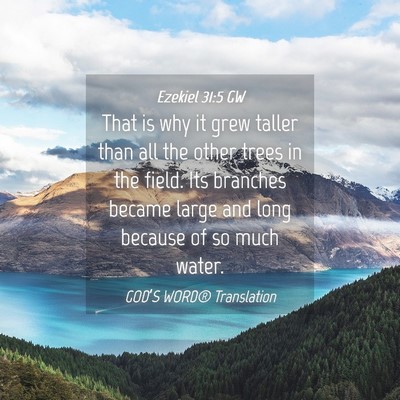 Picture 04 - Ezekiel 31:5 GW - That is why it grew taller than all the other - Bible Verse Picture