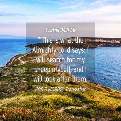 Picture 04 - Ezekiel 34:11 GW - “‘This is what the Almighty Lord says: I will - Bible Verse Picture