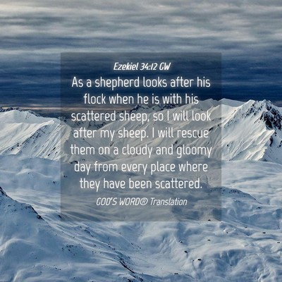Picture 04 - Ezekiel 34:12 GW - As a shepherd looks after his flock when he is - Bible Verse Picture