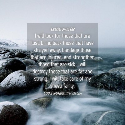 Picture 04 - Ezekiel 34:16 GW - I will look for those that are lost, bring back - Bible Verse Picture