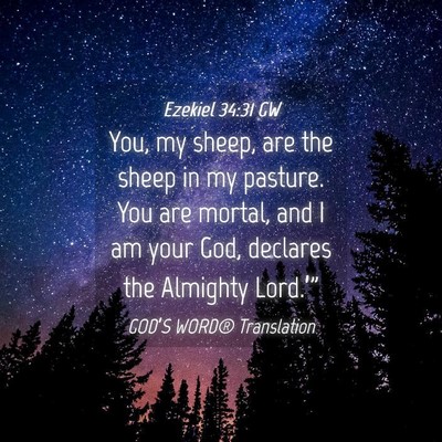 Picture 04 - Ezekiel 34:31 GW - You, my sheep, are the sheep in my pasture. You - Bible Verse Picture