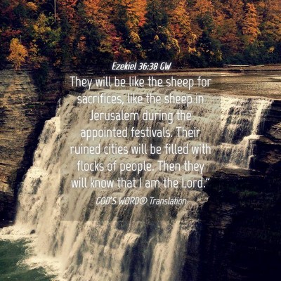 Picture 04 - Ezekiel 36:38 GW - They will be like the sheep for sacrifices, like - Bible Verse Picture