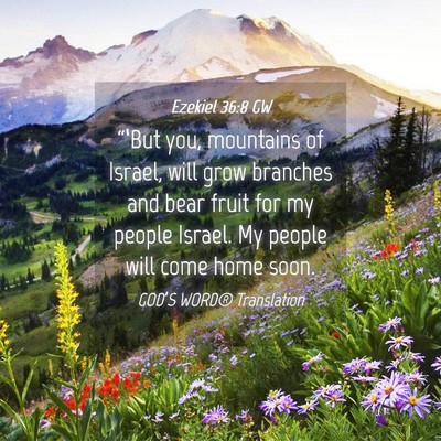 Picture 04 - Ezekiel 36:8 GW - “‘But you, mountains of Israel, will grow - Bible Verse Picture