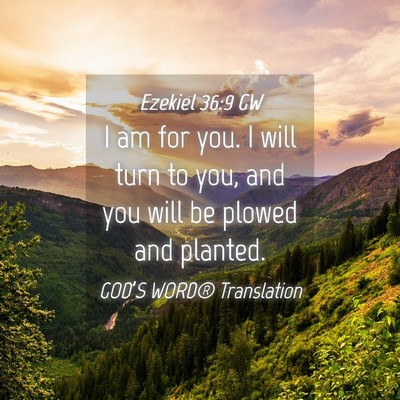 Picture 04 - Ezekiel 36:9 GW - I am for you. I will turn to you, and you will be - Bible Verse Picture