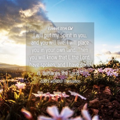 Picture 04 - Ezekiel 37:14 GW - I will put my Spirit in you, and you will live. I - Bible Verse Picture