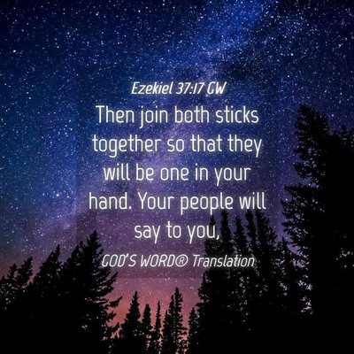 Picture 04 - Ezekiel 37:17 GW - Then join both sticks together so that they will - Bible Verse Picture
