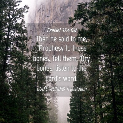 Picture 04 - Ezekiel 37:4 GW - Then he said to me, “Prophesy to these bones. - Bible Verse Picture