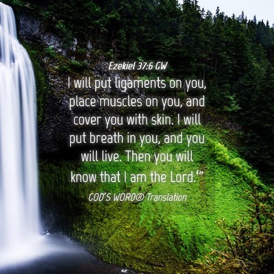Picture 04 - Ezekiel 37:6 GW - I will put ligaments on you, place muscles on - Bible Verse Picture