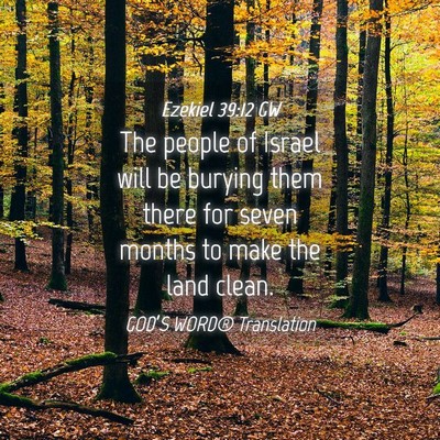 Picture 04 - Ezekiel 39:12 GW - The people of Israel will be burying them there - Bible Verse Picture