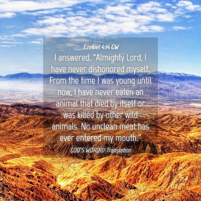 Picture 04 - Ezekiel 4:14 GW - I answered, “Almighty Lord, I have never - Bible Verse Picture