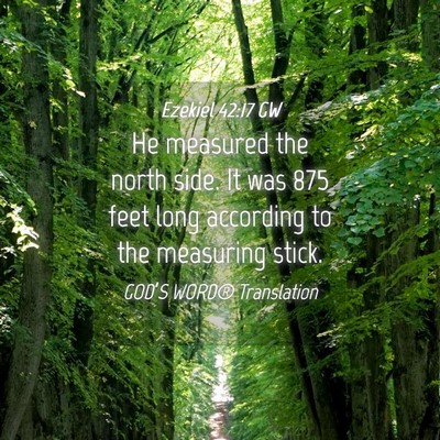 Picture 04 - Ezekiel 42:17 GW - He measured the north side. It was 875 feet long - Bible Verse Picture