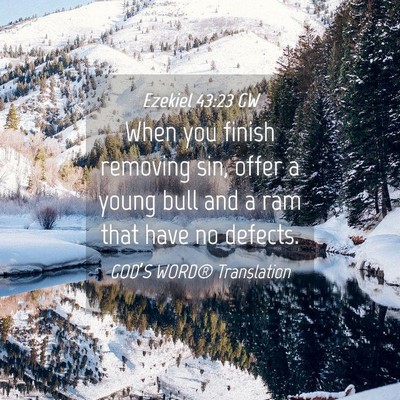 Picture 04 - Ezekiel 43:23 GW - When you finish removing sin, offer a young bull - Bible Verse Picture