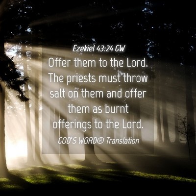 Picture 04 - Ezekiel 43:24 GW - Offer them to the Lord. The priests must throw - Bible Verse Picture