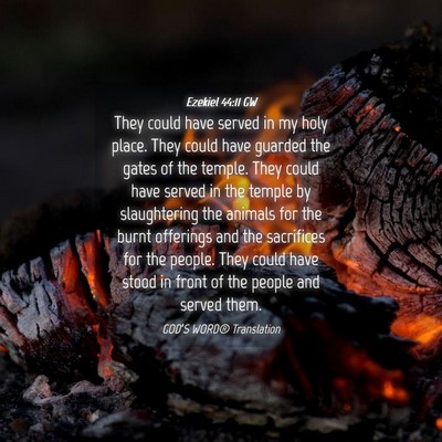 Picture 04 - Ezekiel 44:11 GW - They could have served in my holy place. They - Bible Verse Picture