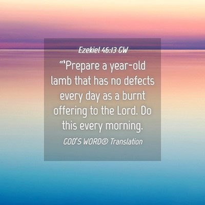 Picture 04 - Ezekiel 46:13 GW - “‘Prepare a year-old lamb that has no defects - Bible Verse Picture