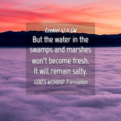Picture 04 - Ezekiel 47:11 GW - But the water in the swamps and marshes won’t - Bible Verse Picture