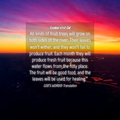 Picture 04 - Ezekiel 47:12 GW - All kinds of fruit trees will grow on both sides - Bible Verse Picture