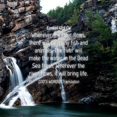 Picture 04 - Ezekiel 47:9 GW - Wherever the river flows, there will be many fish - Bible Verse Picture