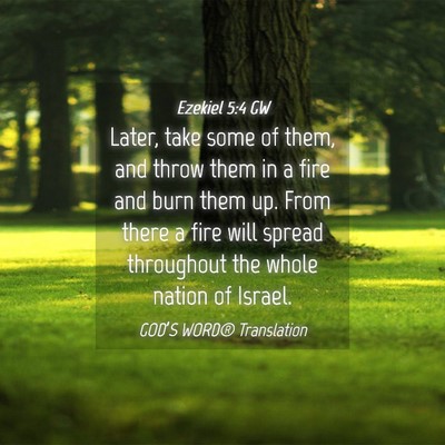 Picture 04 - Ezekiel 5:4 GW - Later, take some of them, and throw them in a - Bible Verse Picture