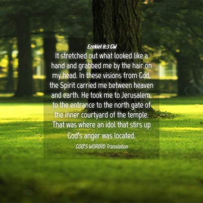 Picture 04 - Ezekiel 8:3 GW - It stretched out what looked like a hand and - Bible Verse Picture