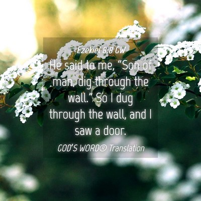 Picture 04 - Ezekiel 8:8 GW - He said to me, “Son of man, dig through the - Bible Verse Picture