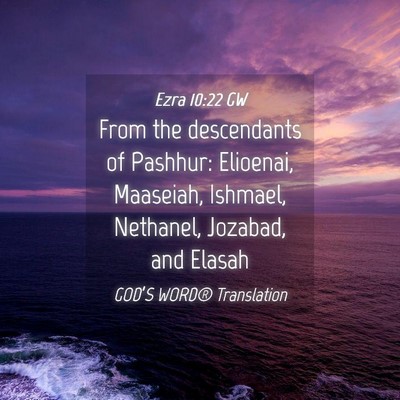 Picture 04 - Ezra 10:22 GW - From the descendants of Pashhur: Elioenai, - Bible Verse Picture