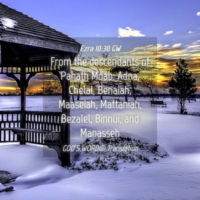 Picture 04 - Ezra 10:30 GW - From the descendants of Pahath Moab: Adna, - Bible Verse Picture