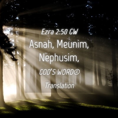 Picture 04 - Ezra 2:50 GW - Asnah, Meunim, - Bible Verse Picture