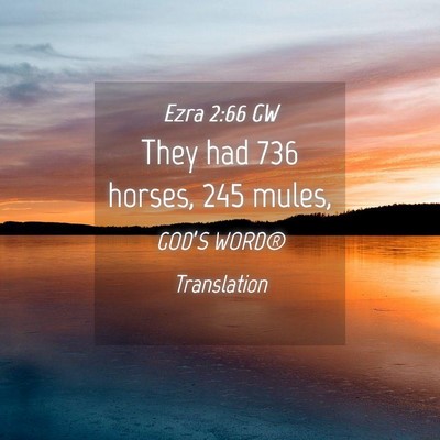 Picture 04 - Ezra 2:66 GW - They had 736 horses, 245 - Bible Verse Picture