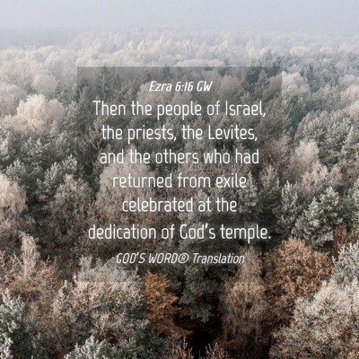 Picture 04 - Ezra 6:16 GW - Then the people of Israel, the priests, the - Bible Verse Picture