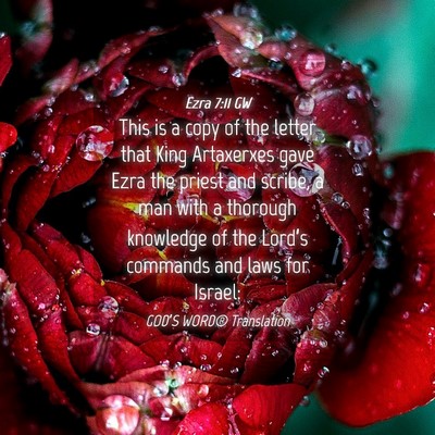 Picture 04 - Ezra 7:11 GW - This is a copy of the letter that King Artaxerxes - Bible Verse Picture