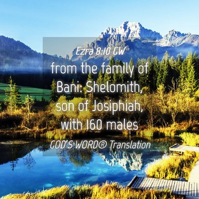 Picture 04 - Ezra 8:10 GW - from the family of Bani: Shelomith, son of - Bible Verse Picture