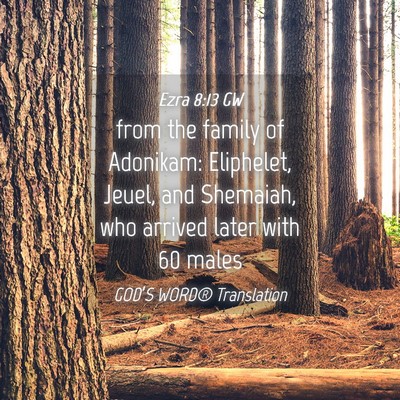 Picture 04 - Ezra 8:13 GW - from the family of Adonikam: Eliphelet, Jeuel, - Bible Verse Picture