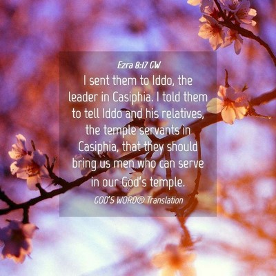Picture 04 - Ezra 8:17 GW - I sent them to Iddo, the leader in Casiphia. I - Bible Verse Picture