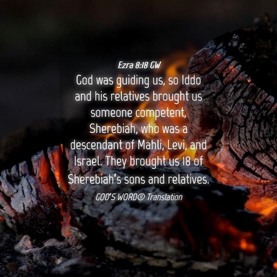 Picture 04 - Ezra 8:18 GW - God was guiding us, so Iddo and his relatives - Bible Verse Picture