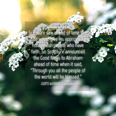 Picture 04 - Galatians 3:8 GW - Scripture saw ahead of time that God would give - Bible Verse Picture