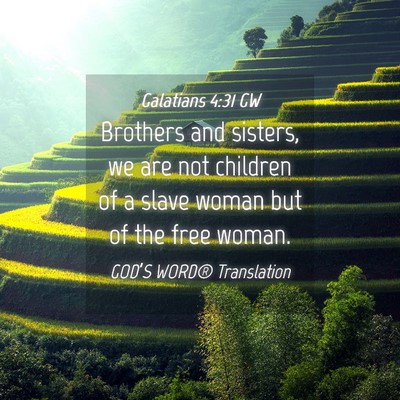 Picture 04 - Galatians 4:31 GW - Brothers and sisters, we are not children of a - Bible Verse Picture