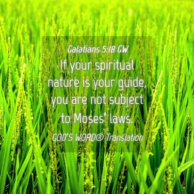 Picture 04 - Galatians 5:18 GW - If your spiritual nature is your guide, you are - Bible Verse Picture