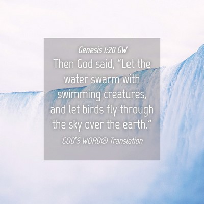Picture 04 - Genesis 1:20 GW - Then God said, “Let the water swarm with - Bible Verse Picture