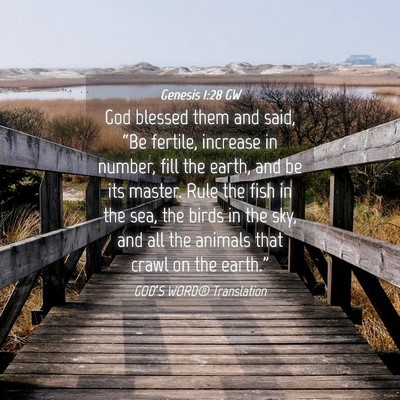 Picture 04 - Genesis 1:28 GW - God blessed them and said, “Be fertile, - Bible Verse Picture